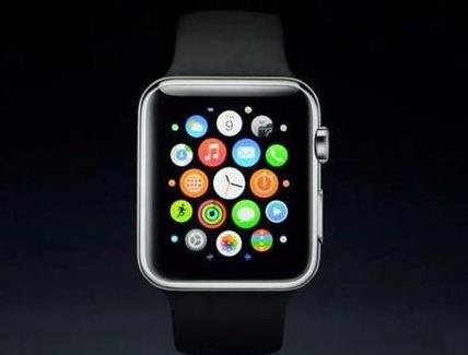iwatch毕竟价值不菲
